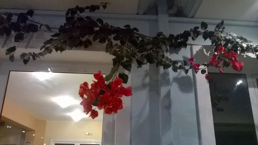 Hotel Spiros Αμμουδιά Εξωτερικό φωτογραφία